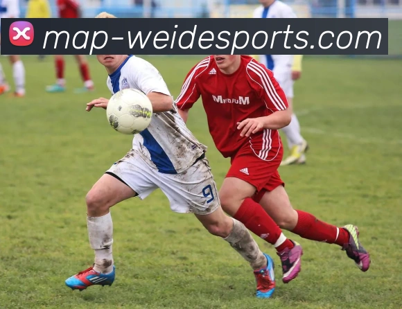 伟德体育APP 封面图